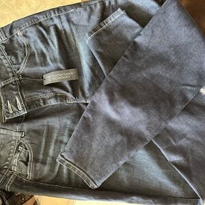 Lane Bryant Women's Skinny Jeans in Dark Blue